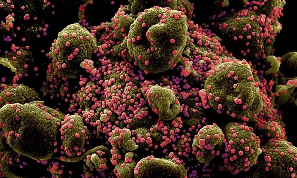 Κορονοϊός: Πόσο αντέχει σε κάθε επιφάνεια και στις διάφορες θερμοκρασίες (γράφημα)